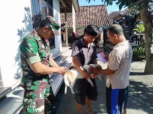IMG-20190331-WA0001