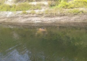 IMG-20190928-WA0001