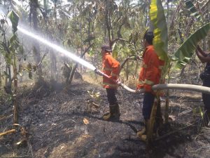 IMG-20191005-WA0069