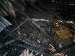 IMG-20220405-WA0133