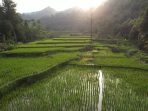 IMG-20250925-WA0009